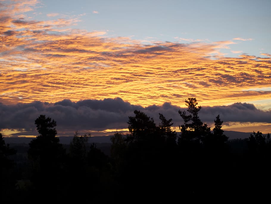cloud, landscape, sun, sky, morning, good looking, clouds, the light of the sun HD wallpaper