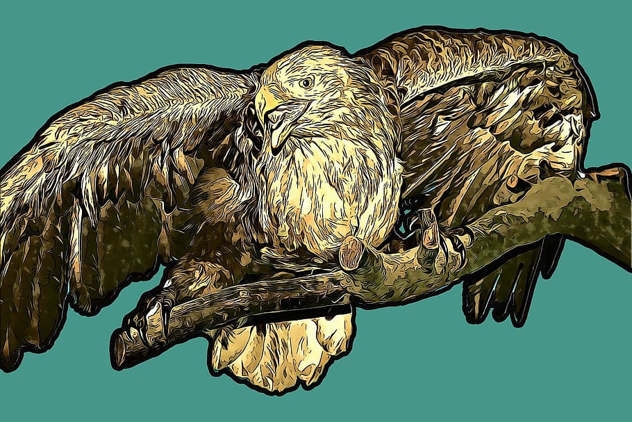 Graphics, Digital, Sas, Branch, sitting, wing, wings, bird HD wallpaper
