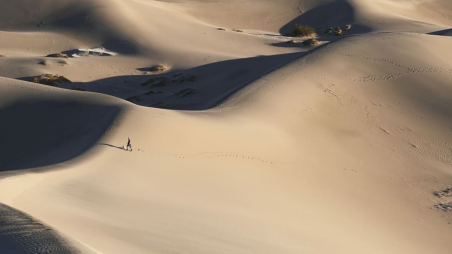 person walking alone in middle of desert, man walking on desert HD wallpaper