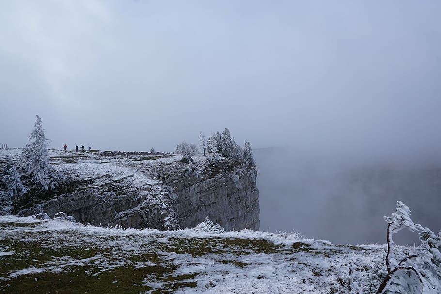 fog, winter, tree, landscape, nature, snow, cruix du van, beauty in nature HD wallpaper