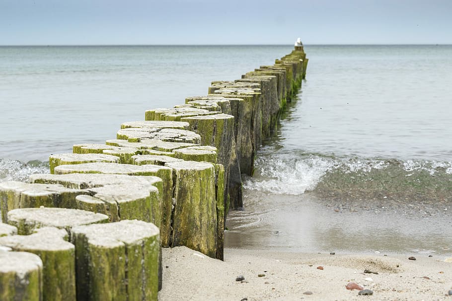 waters, sea, beach, ocean, coast, groynes, baltic sea, horizon HD wallpaper