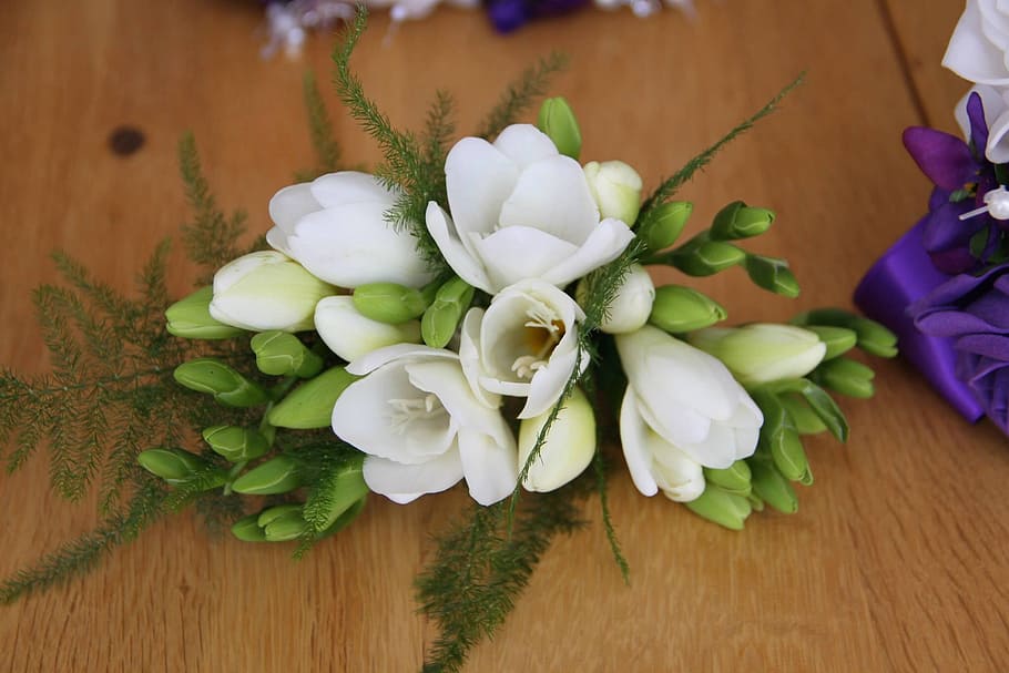 closeup photo of white petaled flowers, white corsage, sia, wedding corsage, HD wallpaper