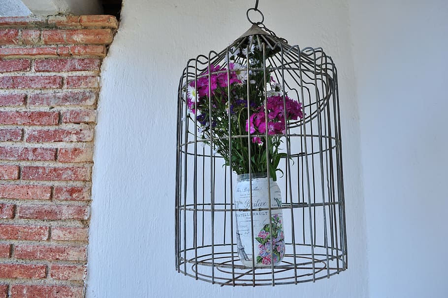 cage, flowers, bricks, decoration, birdcage, flowering plant HD wallpaper
