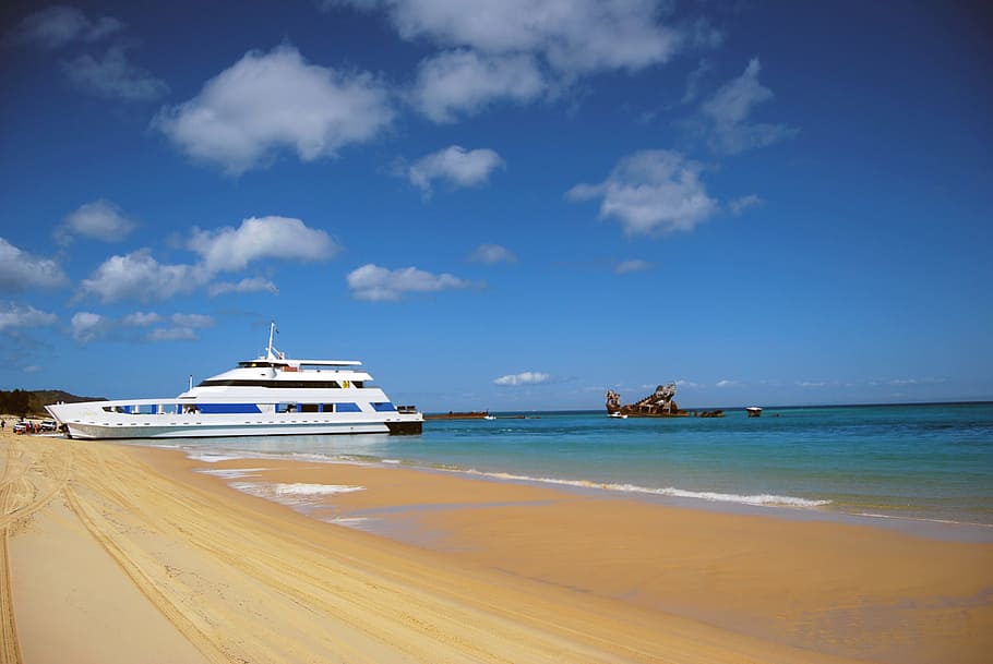 white ship on seashore, Accident, Beach, Stopping, Water, crashed HD wallpaper