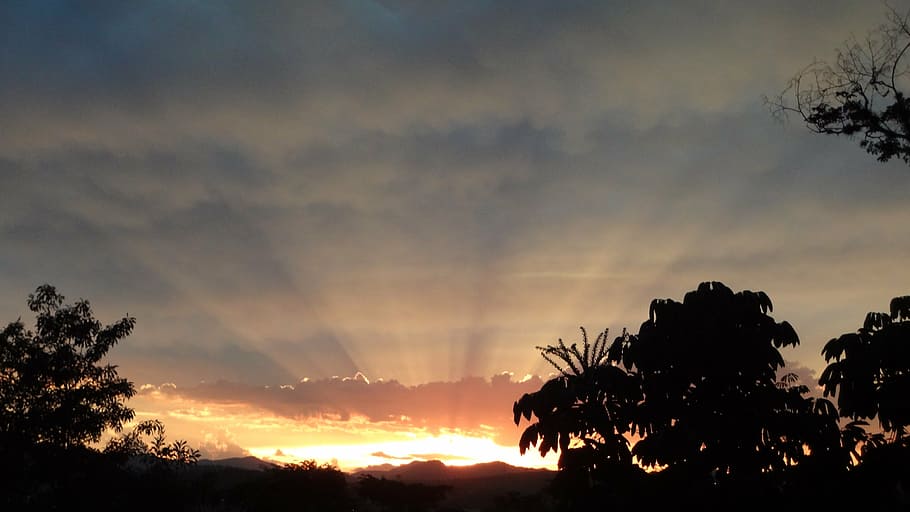 sunset, mountain, rays, silhouette, tree, sky, beauty in nature HD wallpaper