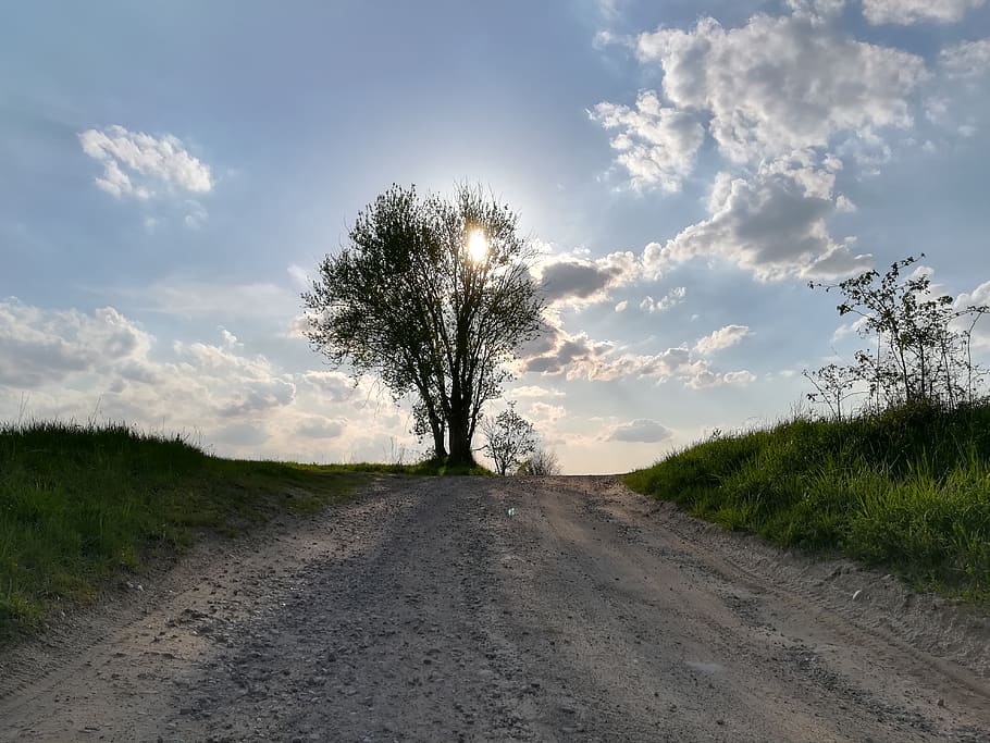 nature, landscape, panoramic, sky, plant, tree, the way forward HD wallpaper