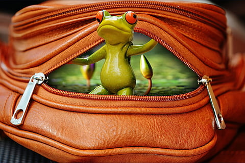 edited photo of green tree frog on brown backpack, bag, zip HD wallpaper
