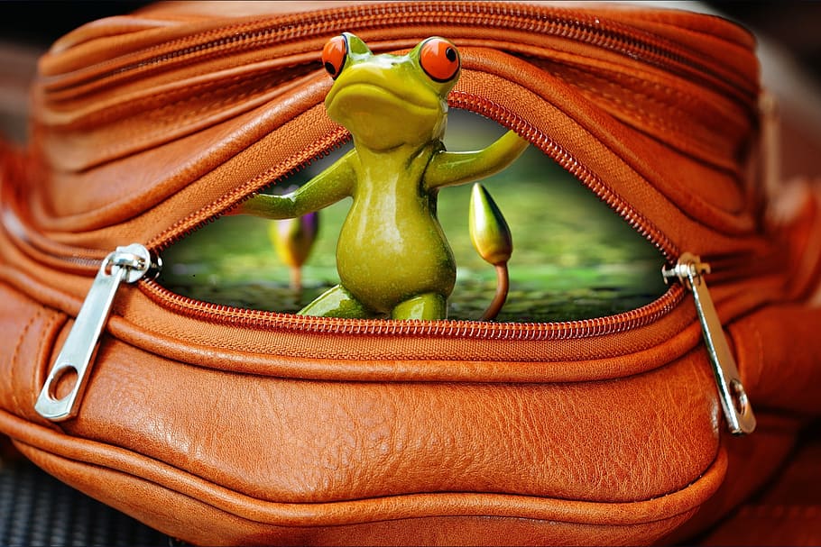 edited photo of green tree frog on brown backpack, bag, zip HD wallpaper