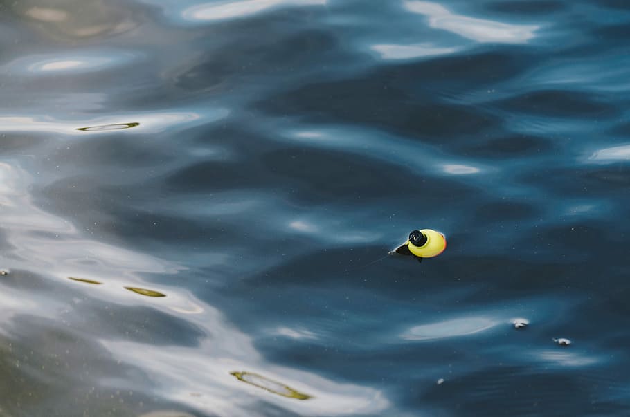 body of water, float, pole, fishing, strike indicator, no people HD wallpaper