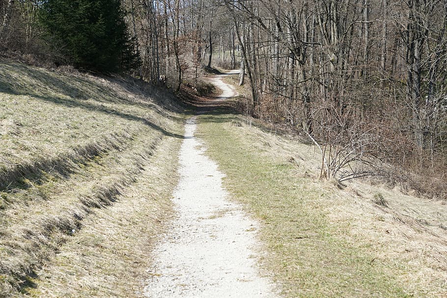 Away, Forest, Nature, Trees, honing mountain, tuttlingen, germany HD wallpaper