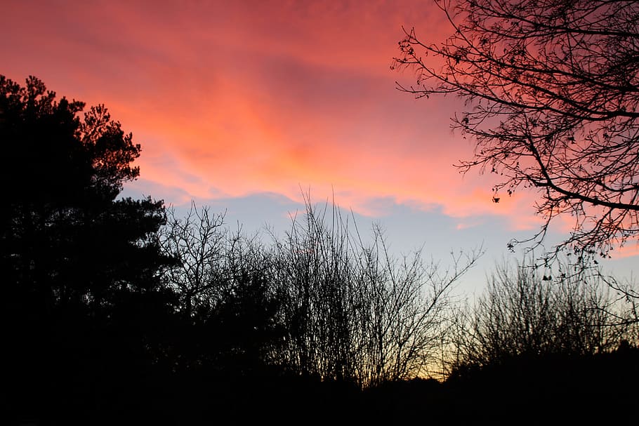 tree, nature, landscape, clouds, silhouette, sky, sunset, beauty in nature HD wallpaper