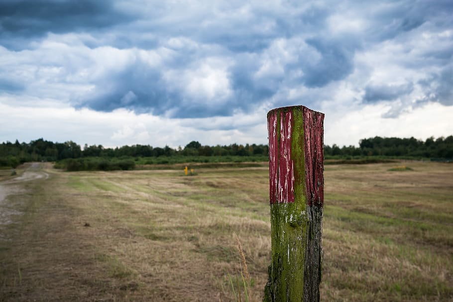 Heide, Migratory, Character, Clouds, Sky, migratory character HD wallpaper