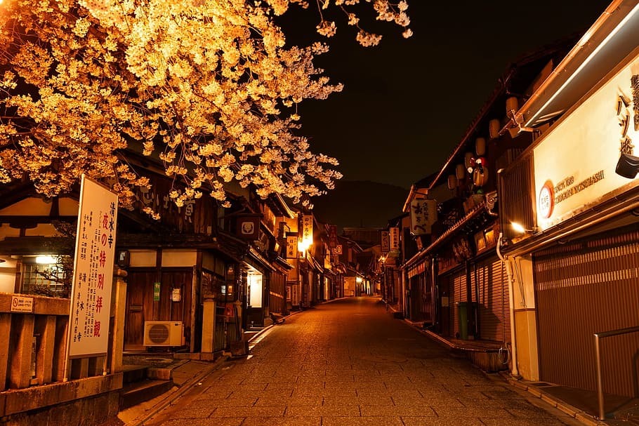 street during night, japan, city, asian, travel, scene, light, HD wallpaper