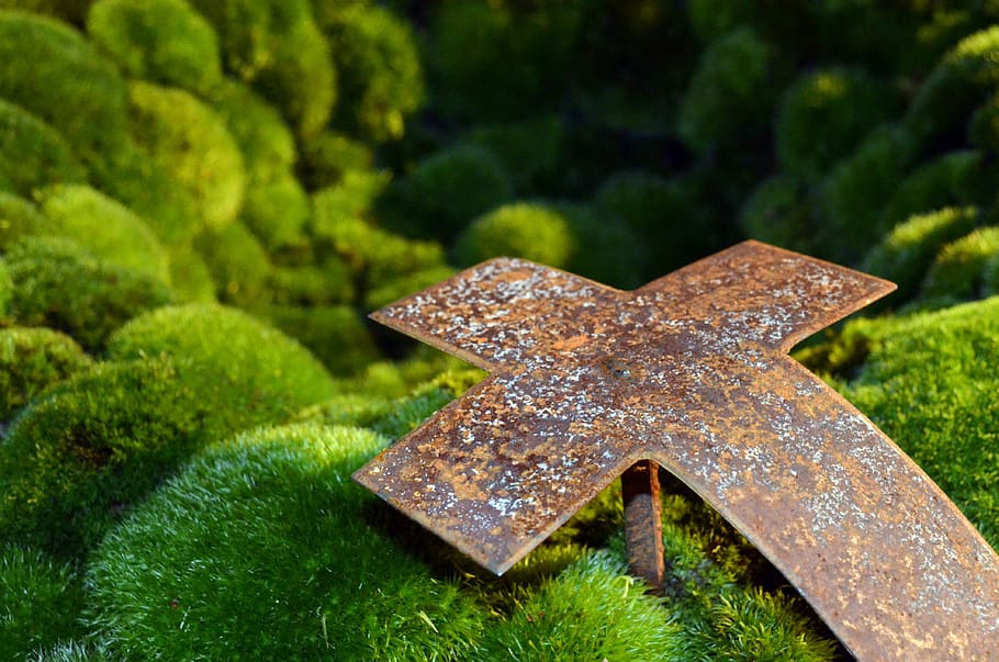 Mourning, Cross, Moss, Stainless, rusty, grave, cemetery, one animal HD wallpaper