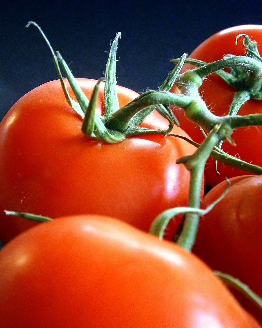 tomatoes, vegetables, healthy, red, food, delicious, frisch HD wallpaper