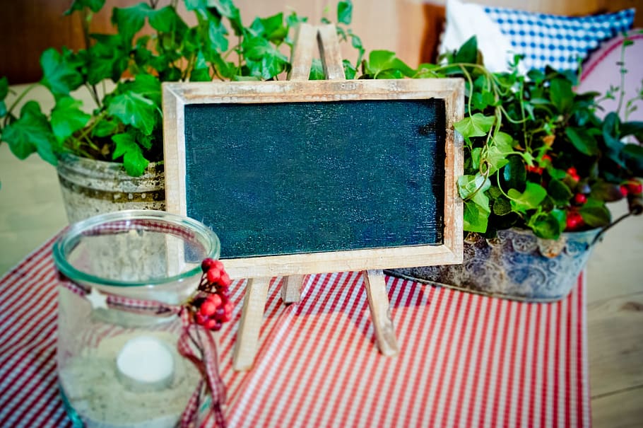 clear brown wooden-framed chalkboard near black and white metal planters with green leafed plants HD wallpaper