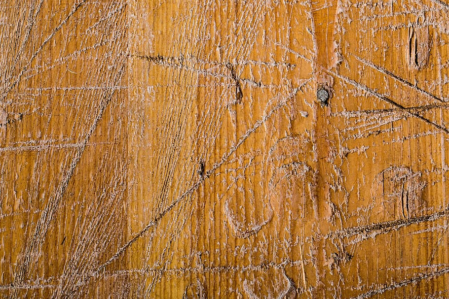 wood, texture, ground, door, pattern, motif, macro, background HD wallpaper