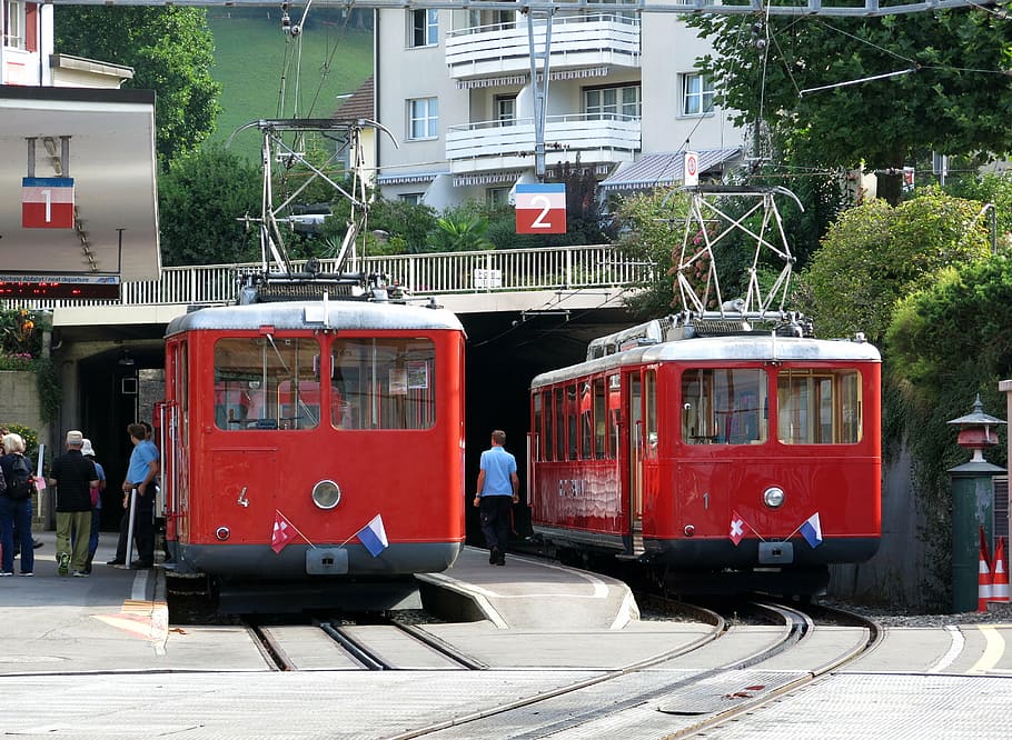 train, rigi, mountain, transport, historically, track, locomotive HD wallpaper