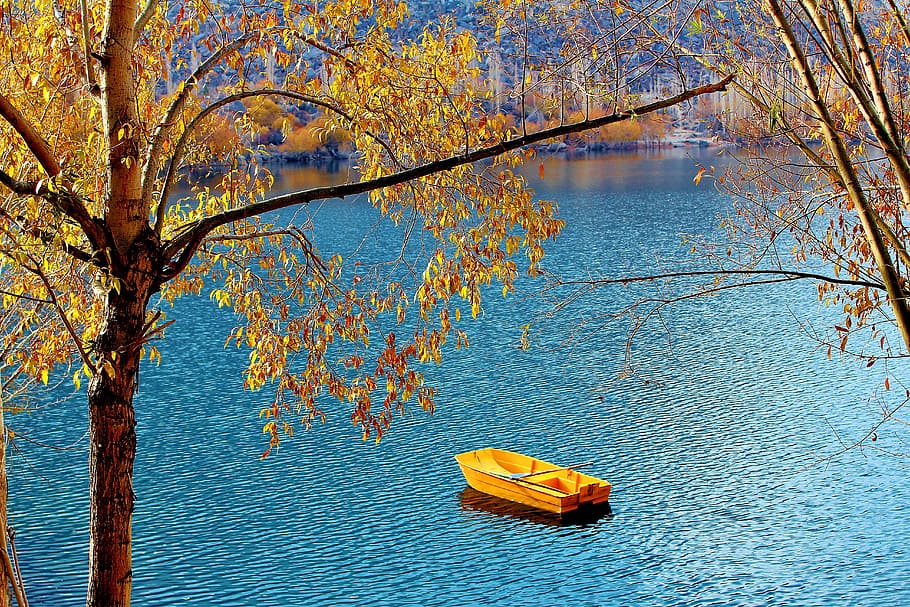 yellow jon boat on the middle of the lake, Tree, Pakistan, Nature