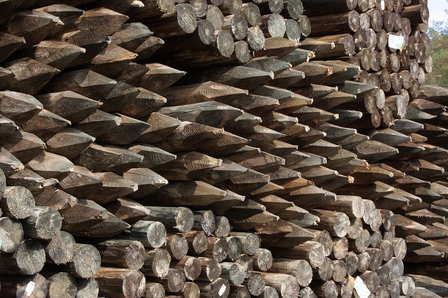 Wood, Timberyard, Fence, Posts, fence posts, pointed, timber industry, HD wallpaper