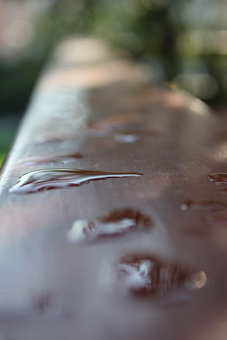 water, drops, raindrop, selective focus, close-up, no people HD wallpaper