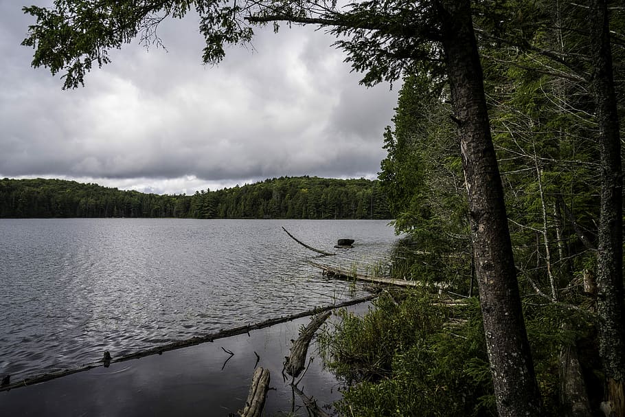 Landscape of Jack Lake in Algonquin Provincial Park, Ontario, HD wallpaper