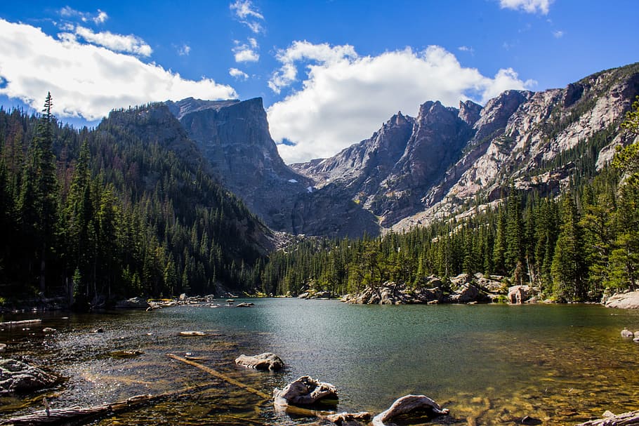 river surrounded by trees, mountains, landscape, forest, nature HD wallpaper