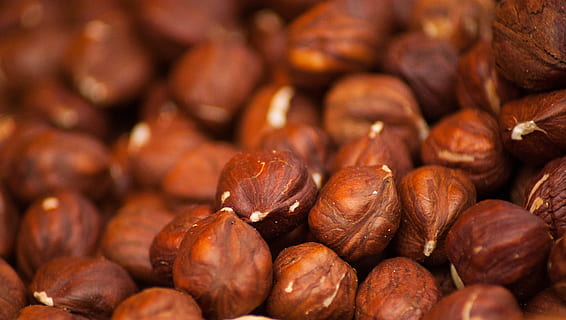 bunch of brown nuts, hazelnuts, dried fruit, food and drink HD wallpaper