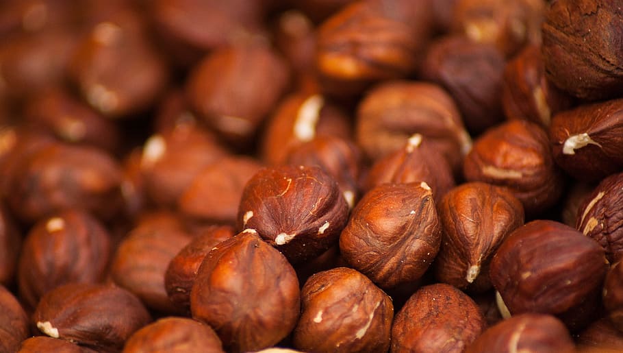 bunch of brown nuts, hazelnuts, dried fruit, food and drink HD wallpaper