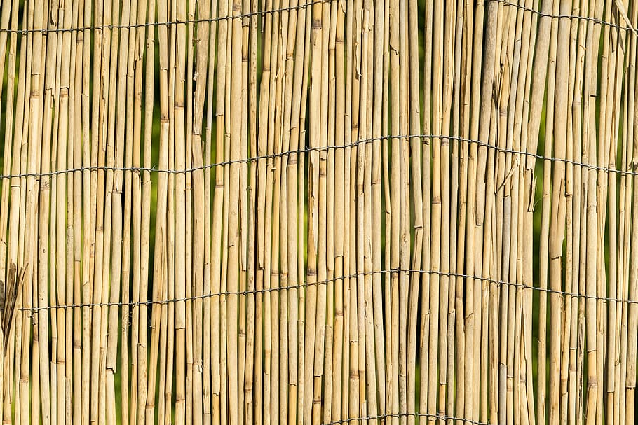 Garden Bamboo Wall Fence Texture Background, pattern, privacy, HD wallpaper