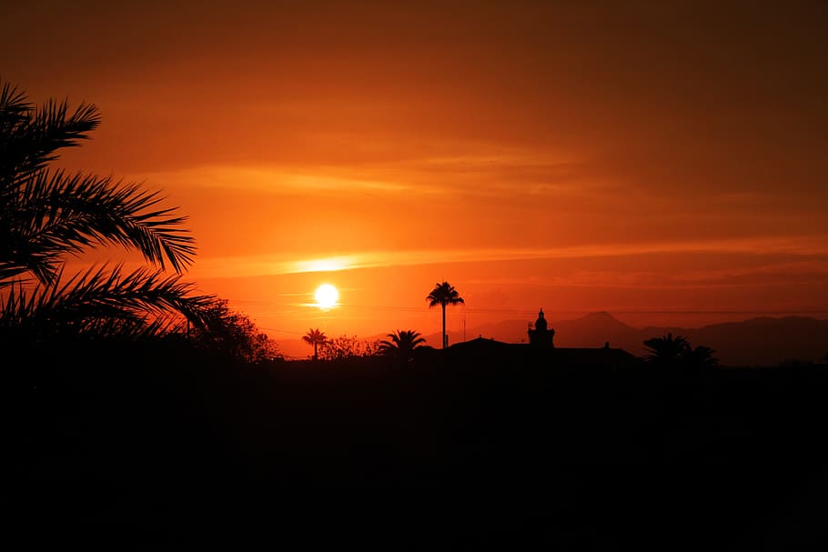 Sunset, Landscape, Horizon, Algaida, mallorca, summer, silhouette HD wallpaper