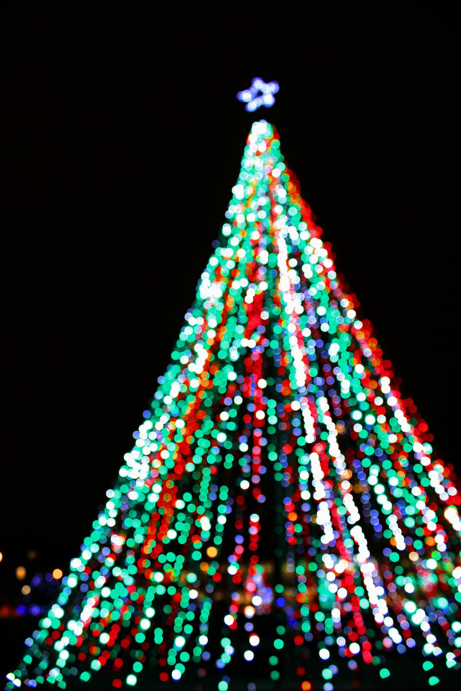 multicolored string light covered tree, lighted Christmas tree of string lights HD wallpaper