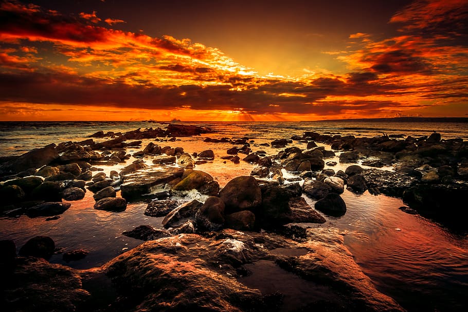light, sea, dawn, landscape, autumn, backlit, beach, bright, clouds HD wallpaper