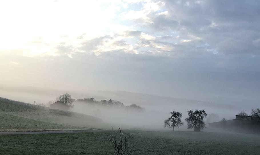 Fog, Landscape, Mood, Nature, Clouds, trees, tranquility, beauty in nature HD wallpaper