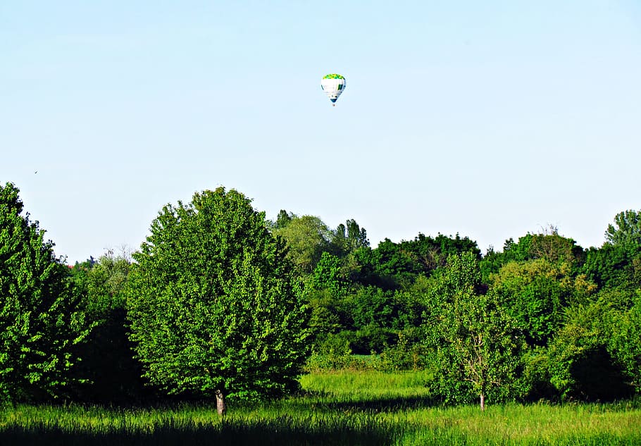 green, landscape, balloon, spring, tree, grass, adventure, plant HD wallpaper