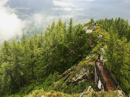 aerial view photography of bridge on mountain beside trees HD wallpaper