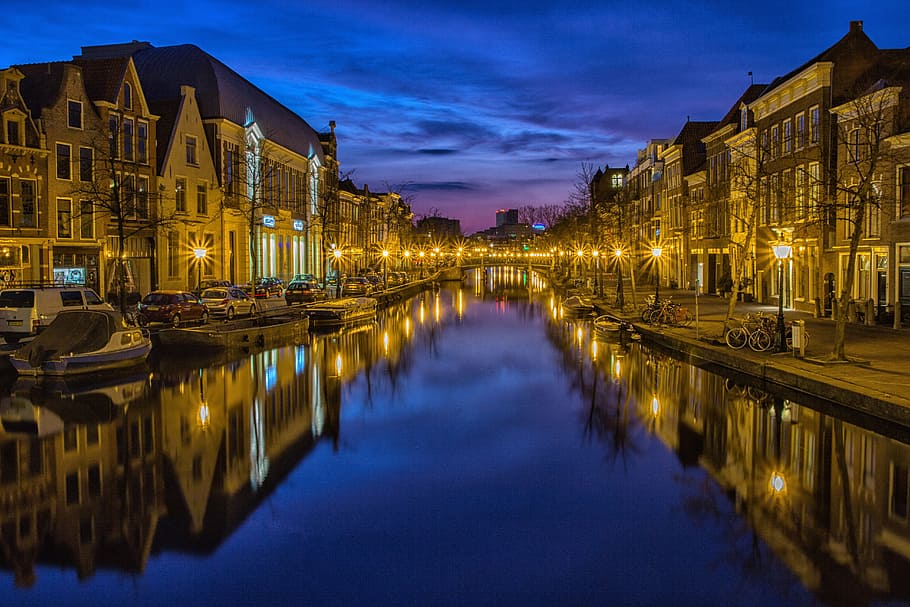 houses beside the canal, city, night, waterway, channel, night sky, HD wallpaper