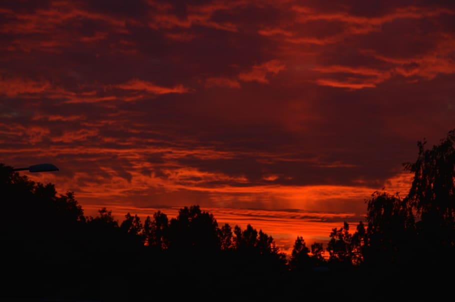 sky, sunset, clouds, sol, denmark, landscape, evening, trees HD wallpaper