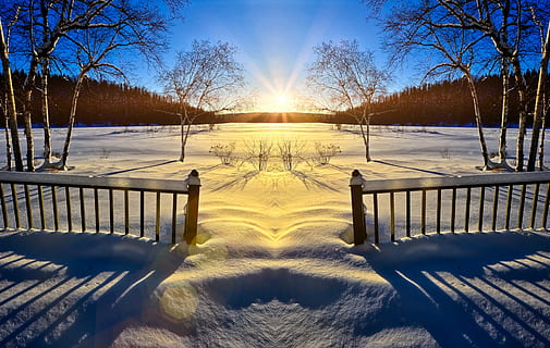 landscape photography of bare trees during winter, sunset, spring HD wallpaper