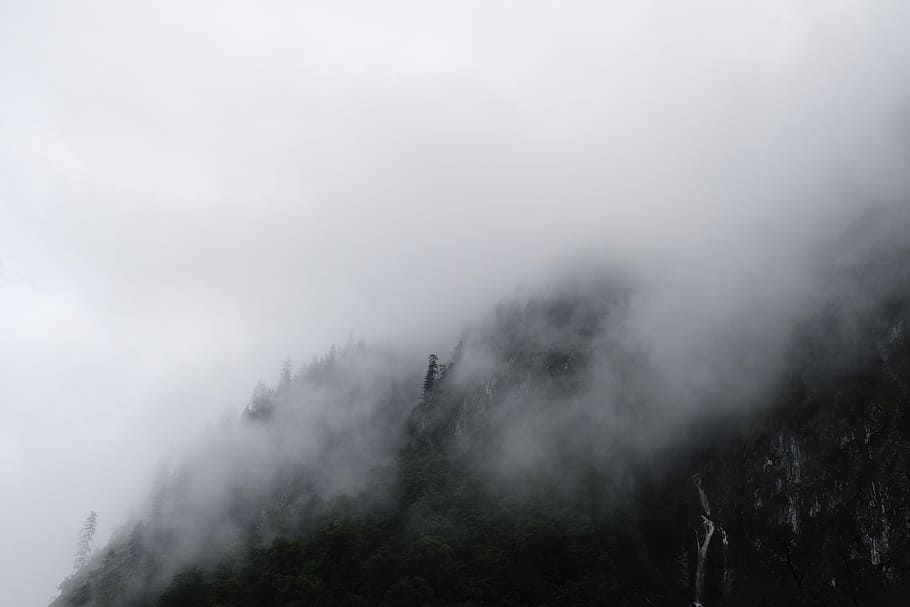 grayscale photo of smoky mountain, fog, mist, tree, cloud, hill HD wallpaper