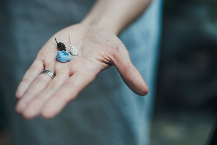 person holding shells, person holding ornaments, stone, hand HD wallpaper