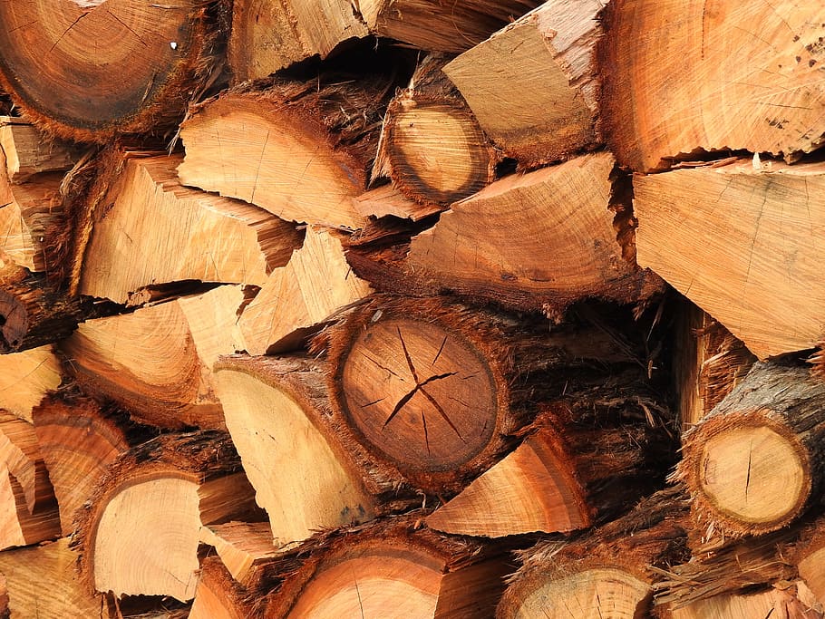 wood, firewood, wood stack, background, wood background, winter wood, HD wallpaper