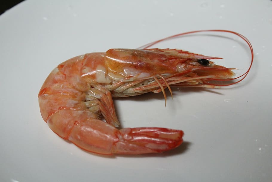 cooked shrimp on plate, cooking, food, seafood, shrimp tempura, HD wallpaper