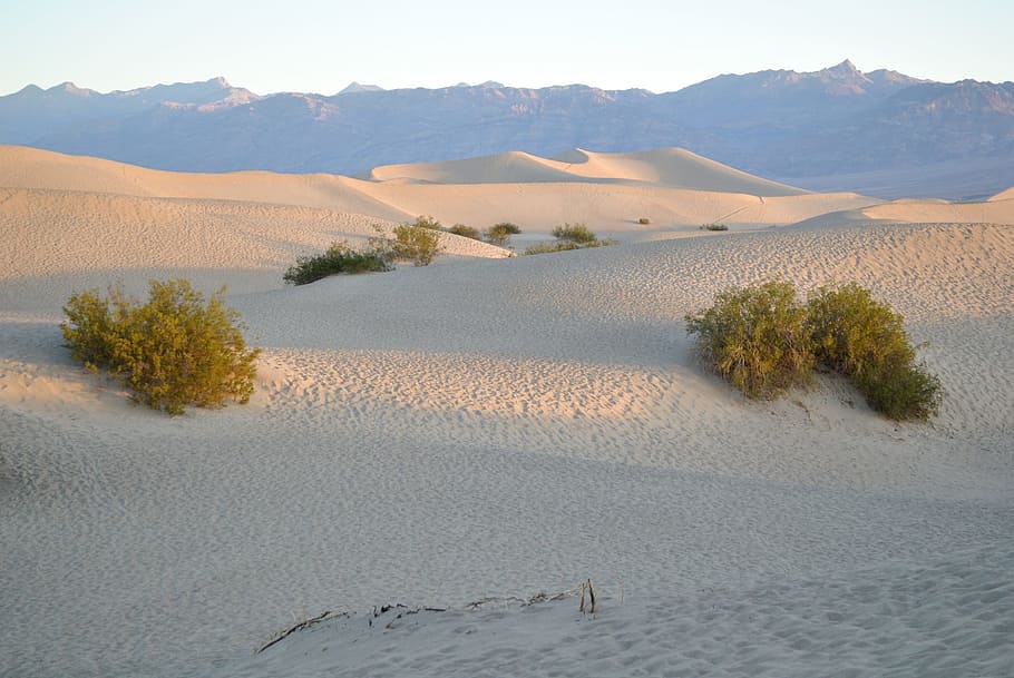 Dunes, Sand, Death Valley, Desert, landscape, park, california, HD wallpaper