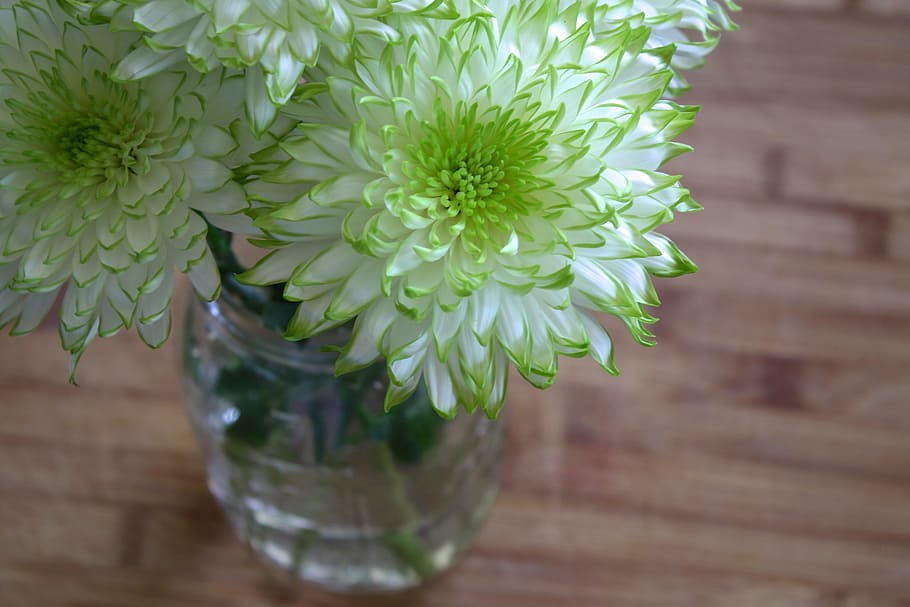 white and green flowers on clear glass vase, spring, garden HD wallpaper