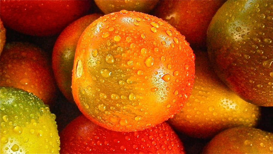 orange, red, and green apple fruits, tomato, vegetable, nature HD wallpaper