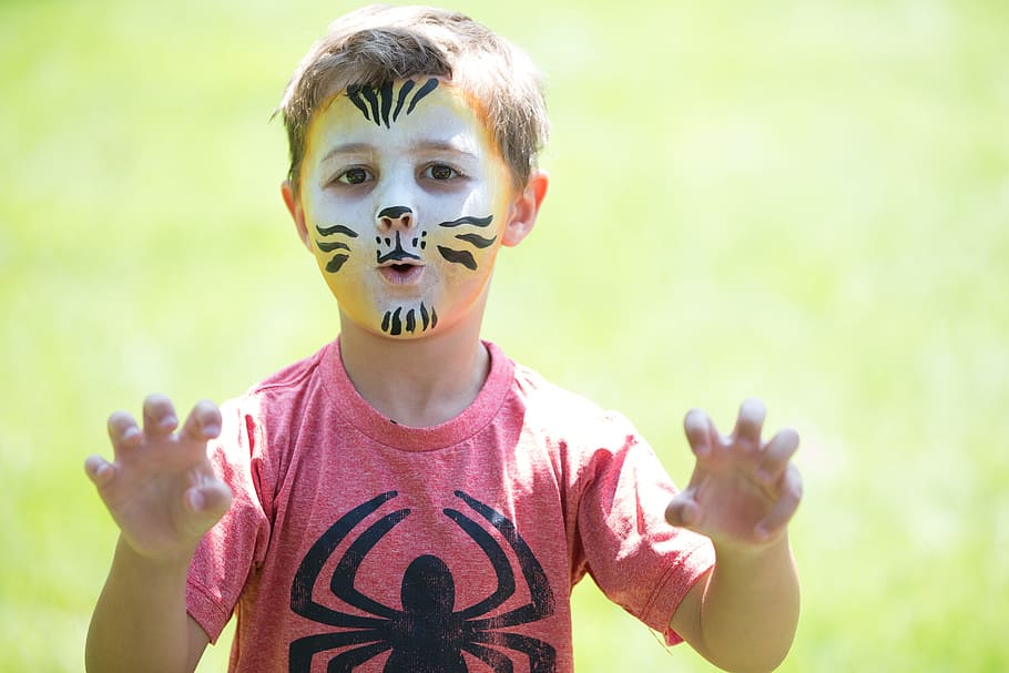 boy, picnic, party, fun, face paint, portrait, front view, child HD wallpaper