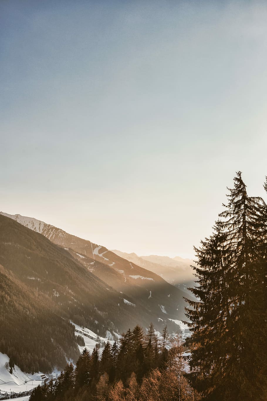 aerial photography of mountain view during daytime, pine trees near mouanut HD wallpaper