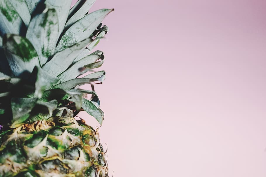 pineapple side view photography, indistinct, blurred, rough HD wallpaper