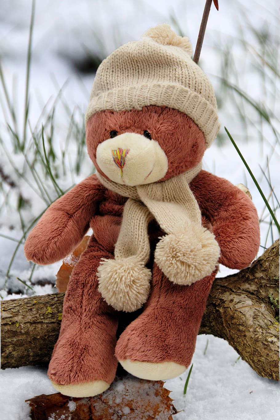 brown bear plush toy on tree branch, bears, teddy, teddy bear